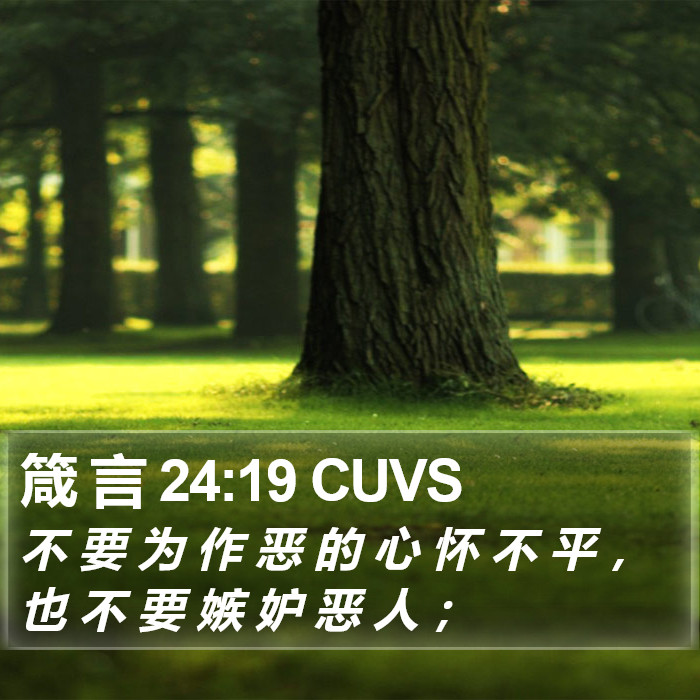 箴 言 24:19 CUVS Bible Study