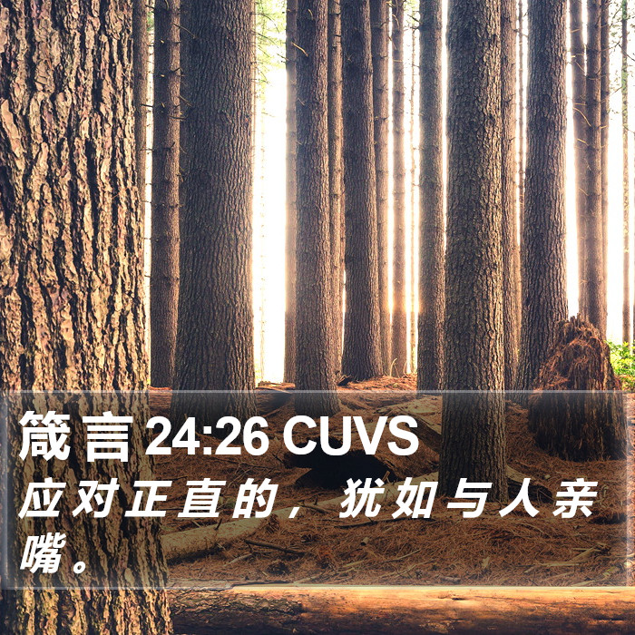 箴 言 24:26 CUVS Bible Study