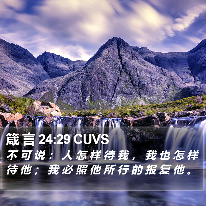 箴 言 24:29 CUVS Bible Study