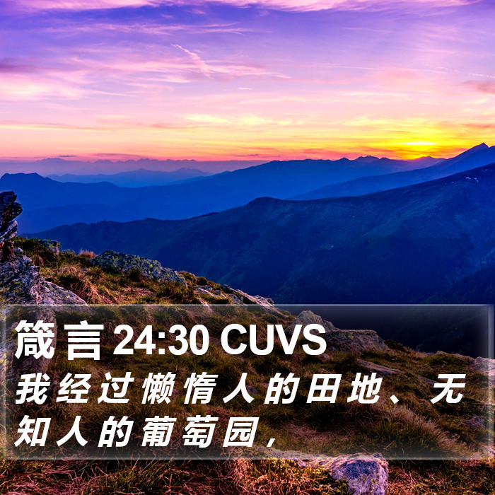 箴 言 24:30 CUVS Bible Study