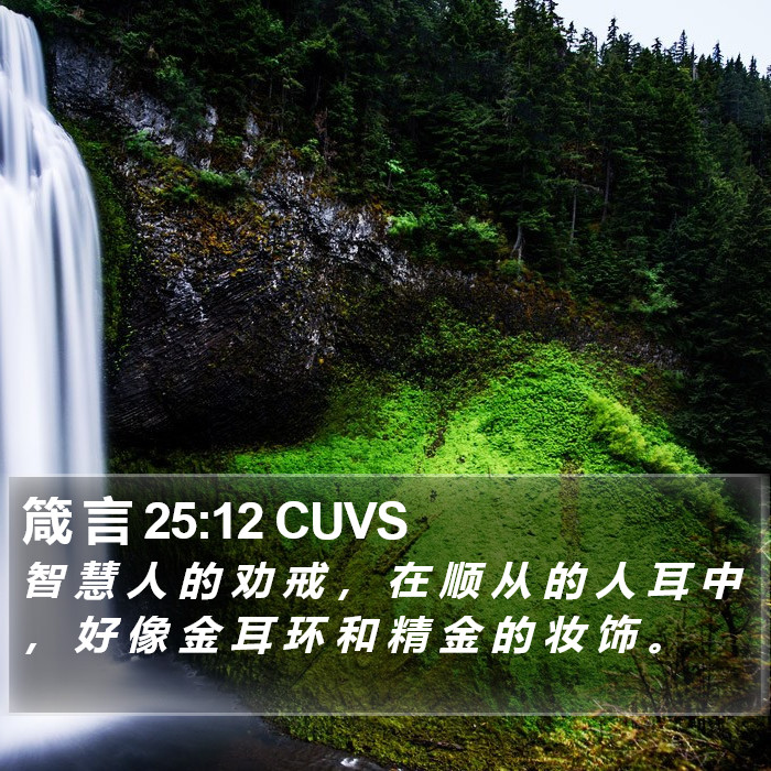 箴 言 25:12 CUVS Bible Study