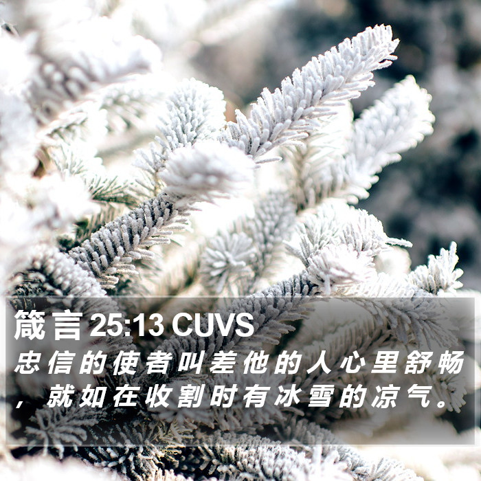 箴 言 25:13 CUVS Bible Study