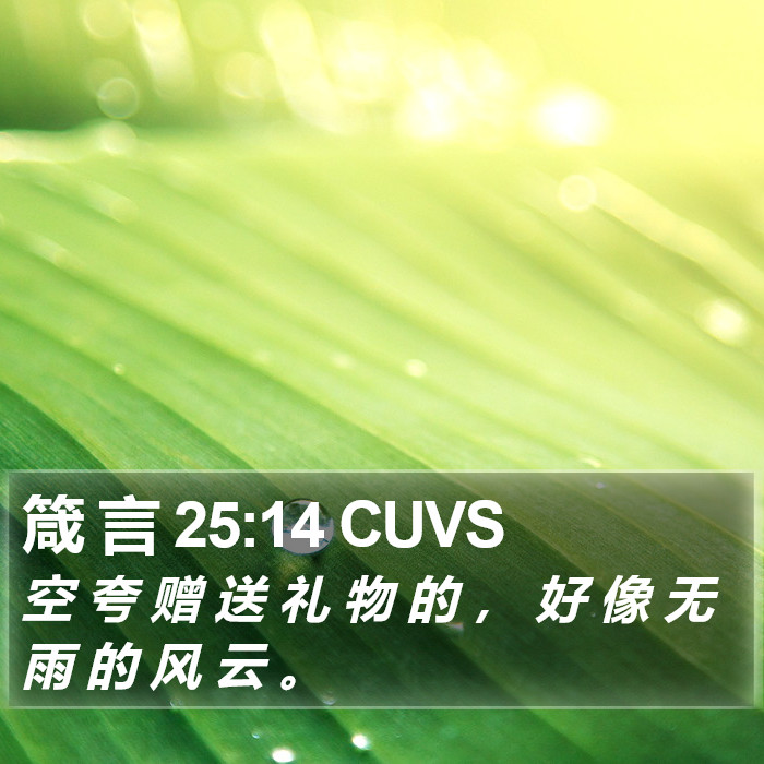 箴 言 25:14 CUVS Bible Study