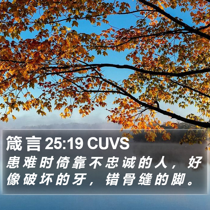 箴 言 25:19 CUVS Bible Study