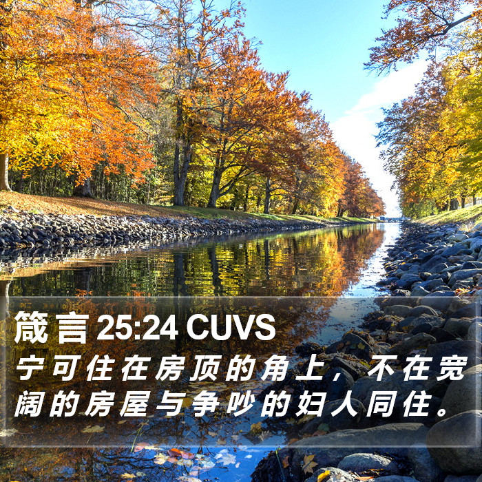 箴 言 25:24 CUVS Bible Study