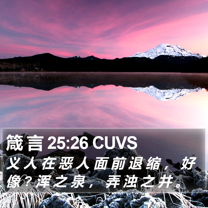 箴 言 25:26 CUVS Bible Study