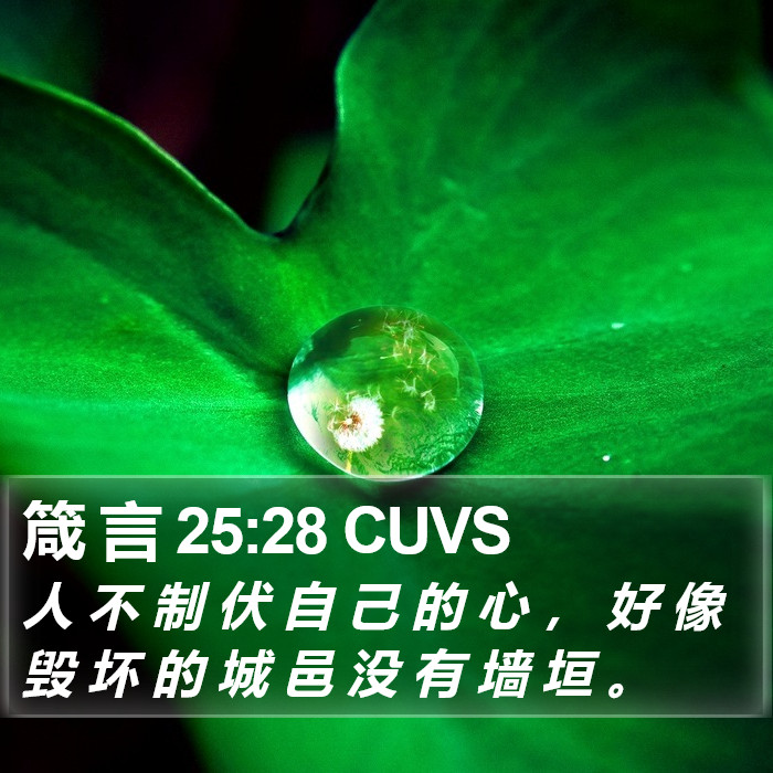 箴 言 25:28 CUVS Bible Study
