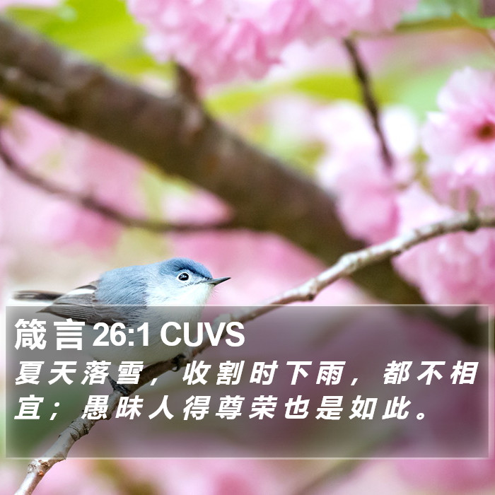 箴 言 26:1 CUVS Bible Study