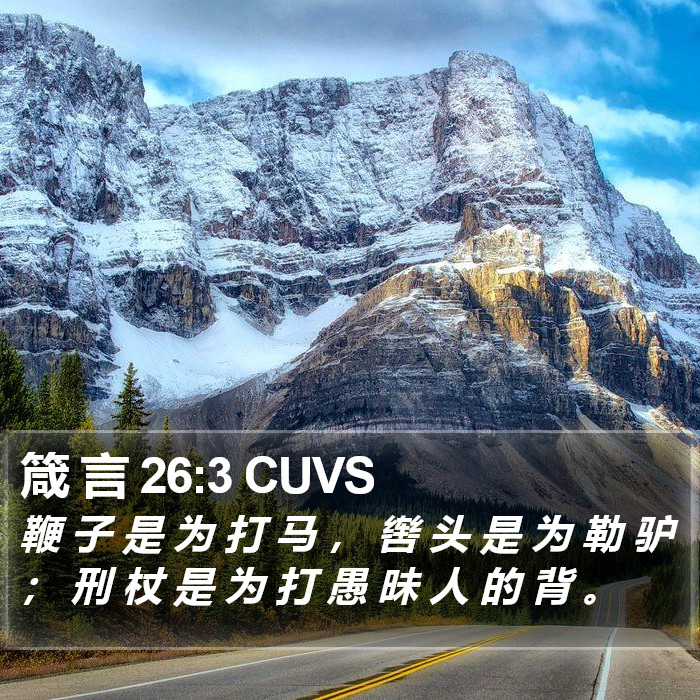 箴 言 26:3 CUVS Bible Study