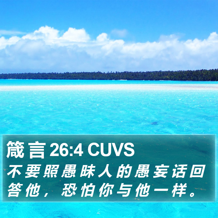 箴 言 26:4 CUVS Bible Study