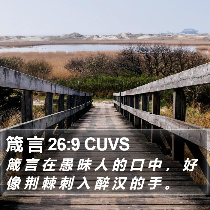箴 言 26:9 CUVS Bible Study