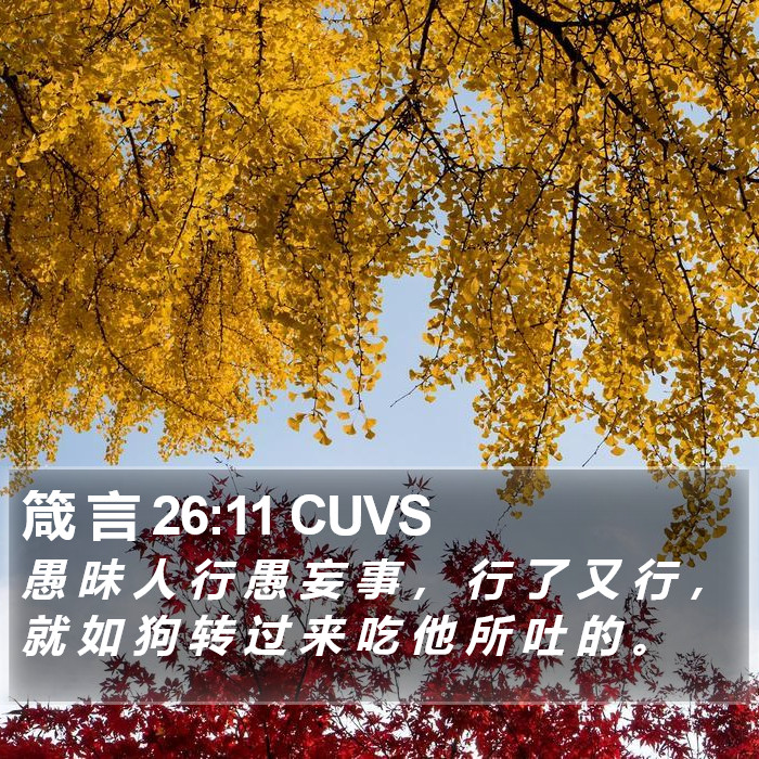 箴 言 26:11 CUVS Bible Study