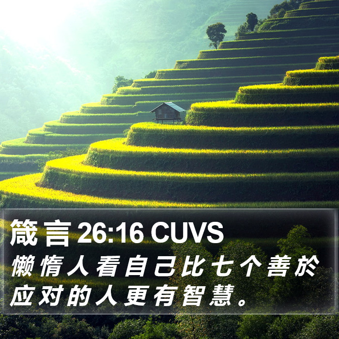 箴 言 26:16 CUVS Bible Study