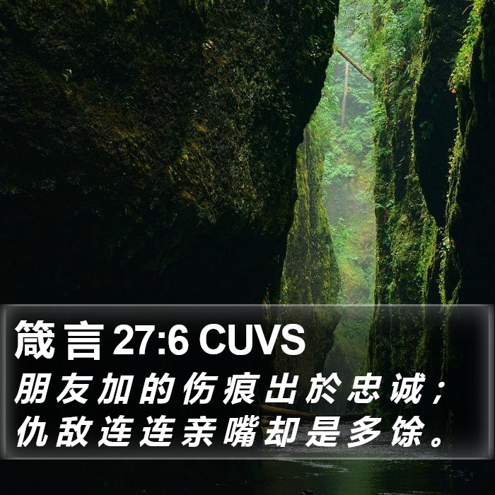箴 言 27:6 CUVS Bible Study