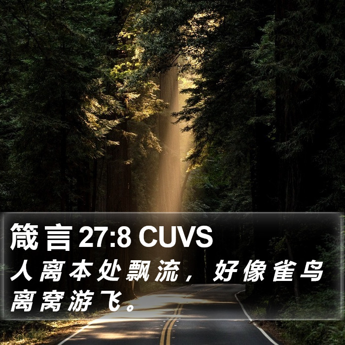 箴 言 27:8 CUVS Bible Study
