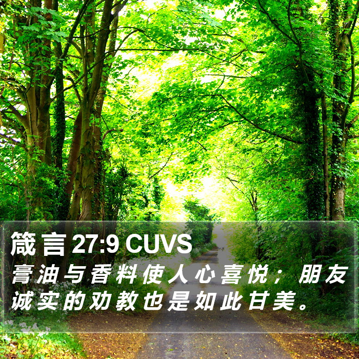 箴 言 27:9 CUVS Bible Study