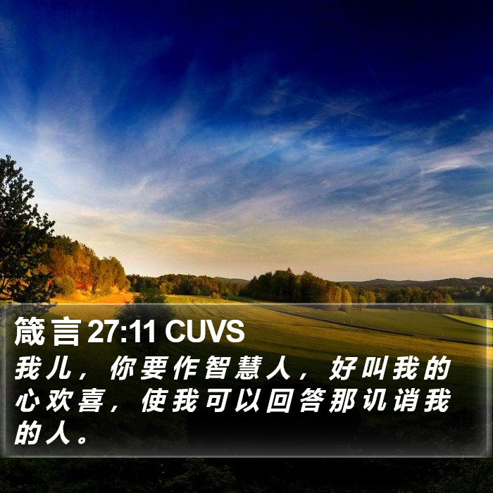 箴 言 27:11 CUVS Bible Study