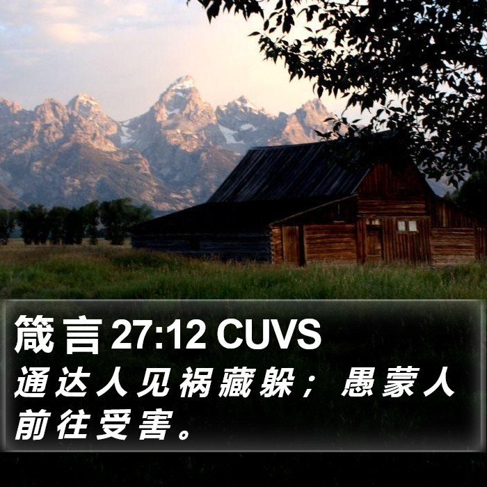 箴 言 27:12 CUVS Bible Study