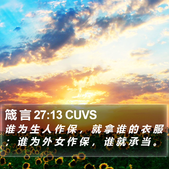 箴 言 27:13 CUVS Bible Study