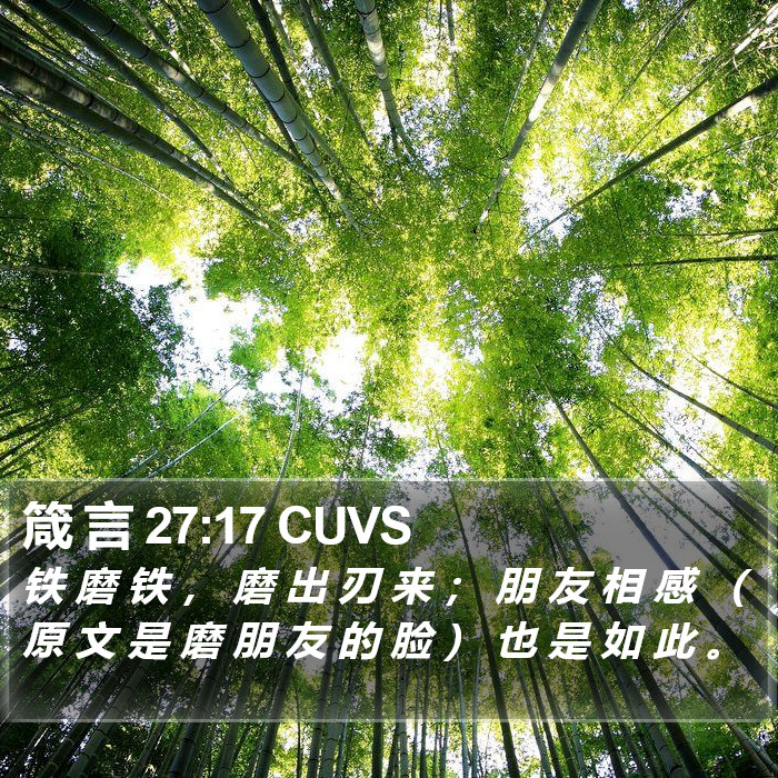 箴 言 27:17 CUVS Bible Study