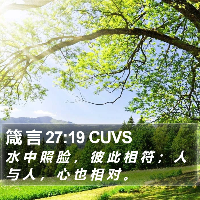箴 言 27:19 CUVS Bible Study