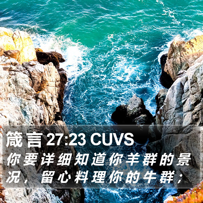 箴 言 27:23 CUVS Bible Study