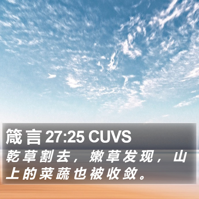 箴 言 27:25 CUVS Bible Study