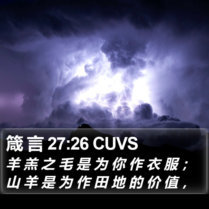 箴 言 27:26 CUVS Bible Study