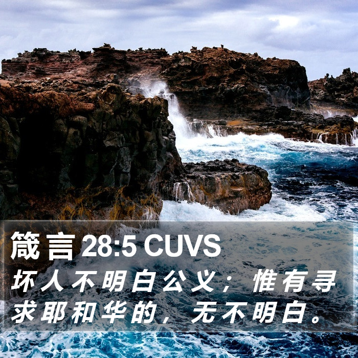 箴 言 28:5 CUVS Bible Study