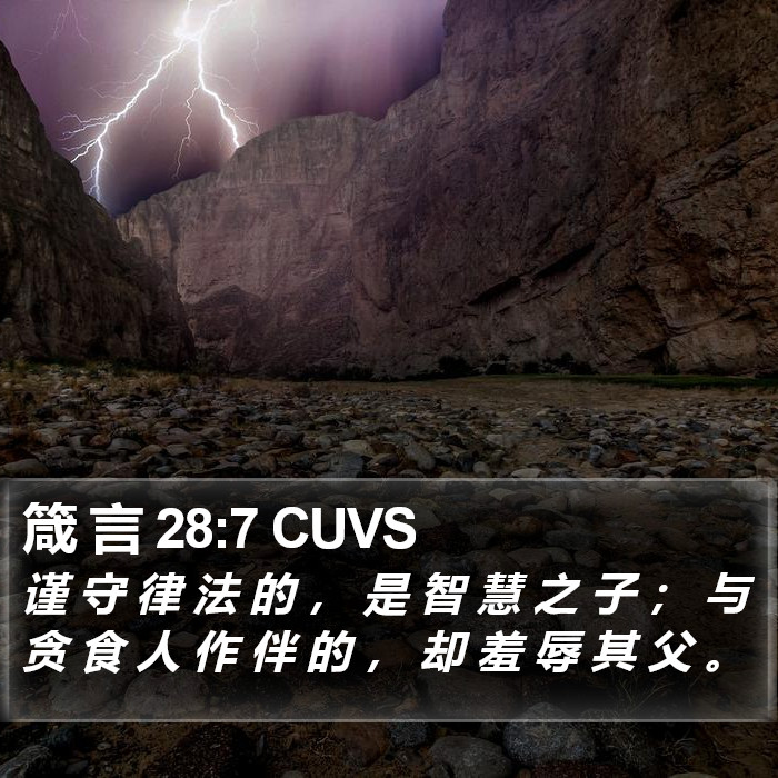箴 言 28:7 CUVS Bible Study