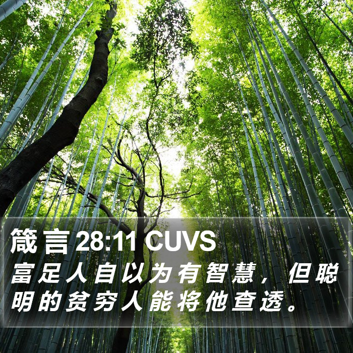 箴 言 28:11 CUVS Bible Study