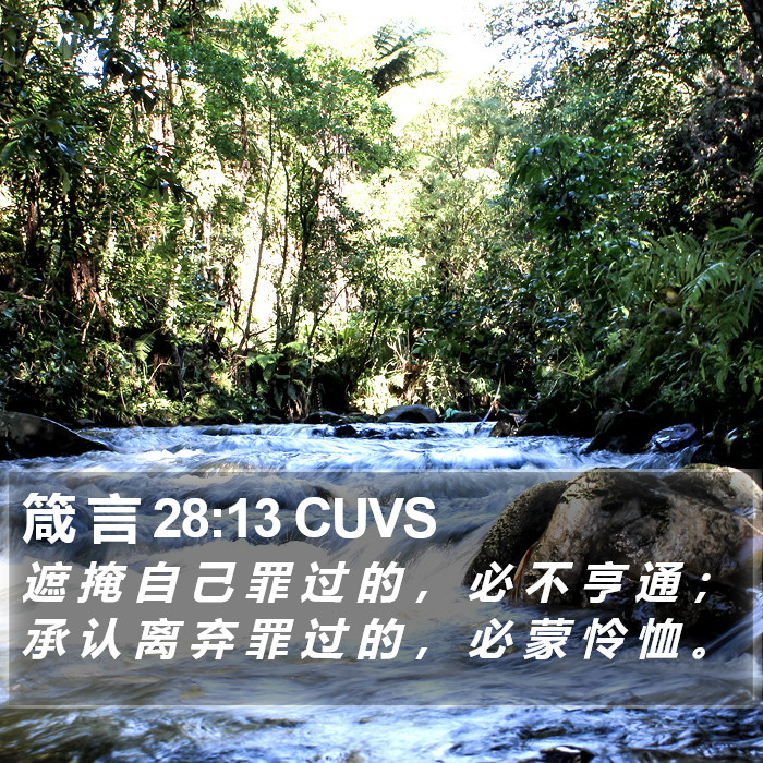 箴 言 28:13 CUVS Bible Study