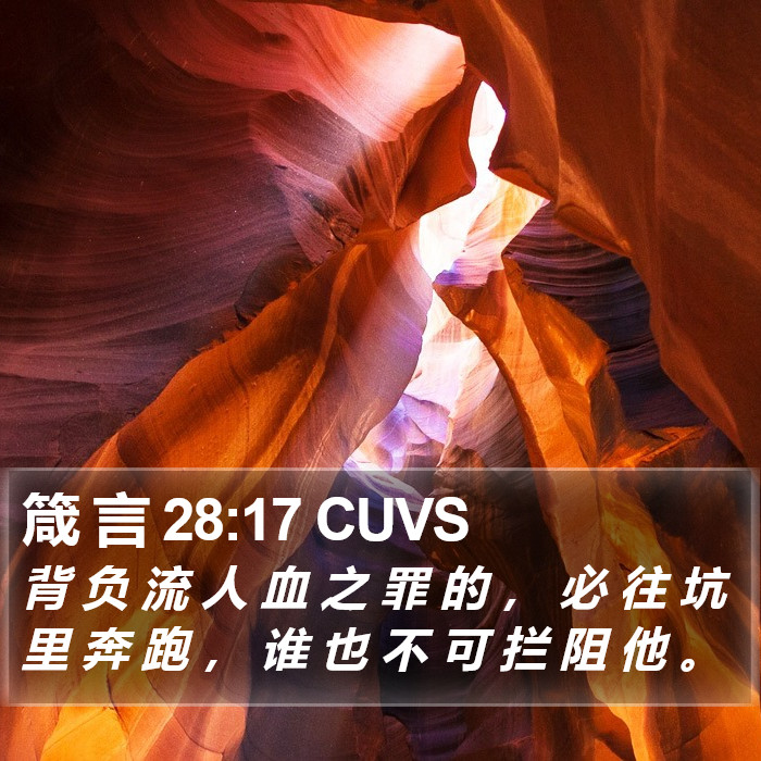 箴 言 28:17 CUVS Bible Study