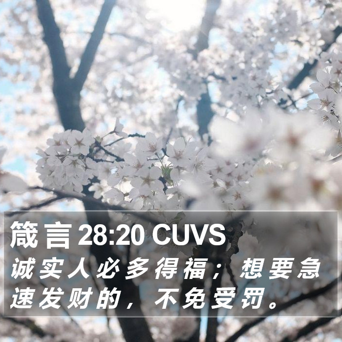 箴 言 28:20 CUVS Bible Study