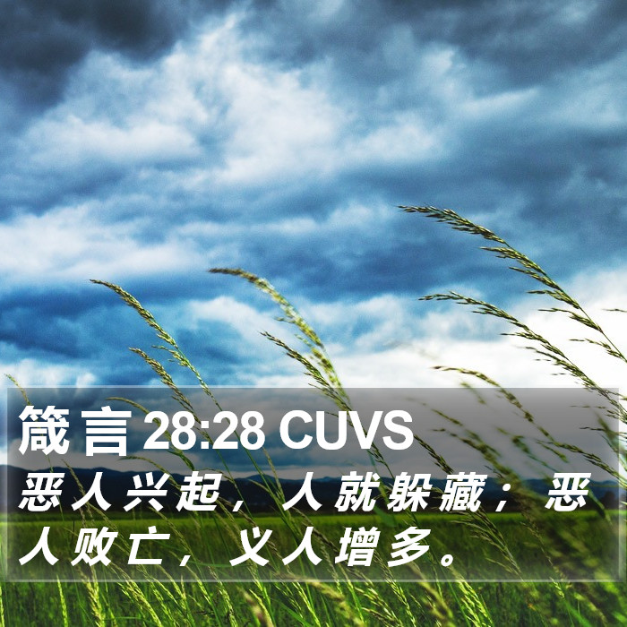 箴 言 28:28 CUVS Bible Study