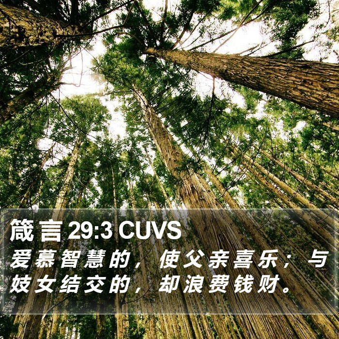 箴 言 29:3 CUVS Bible Study