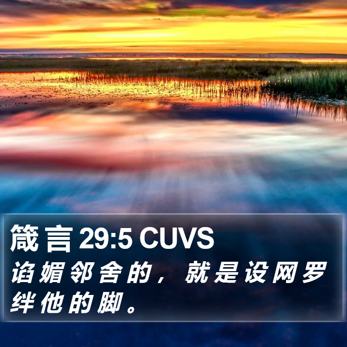 箴 言 29:5 CUVS Bible Study