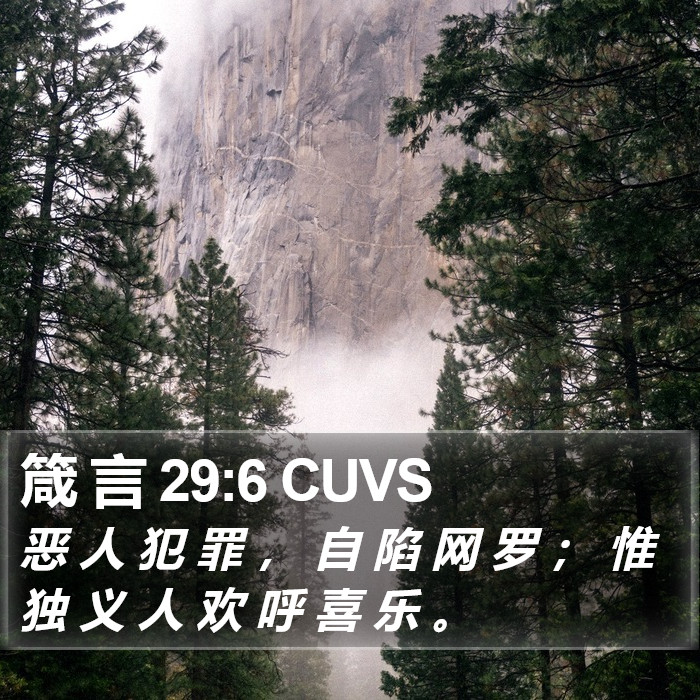 箴 言 29:6 CUVS Bible Study