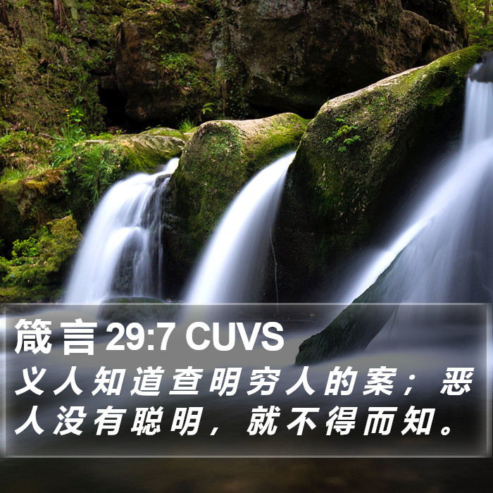 箴 言 29:7 CUVS Bible Study