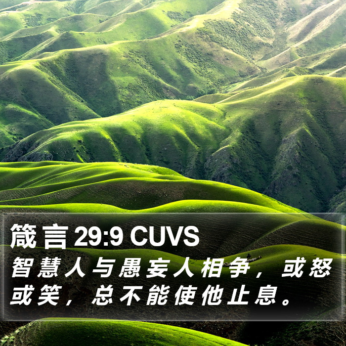 箴 言 29:9 CUVS Bible Study