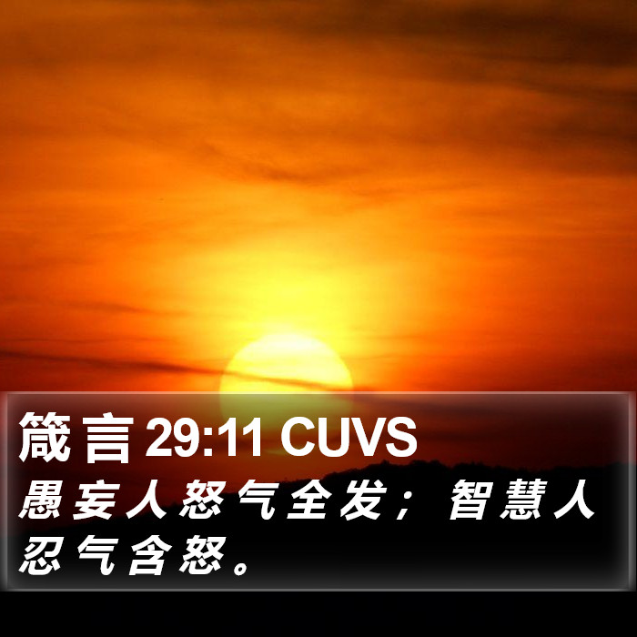 箴 言 29:11 CUVS Bible Study