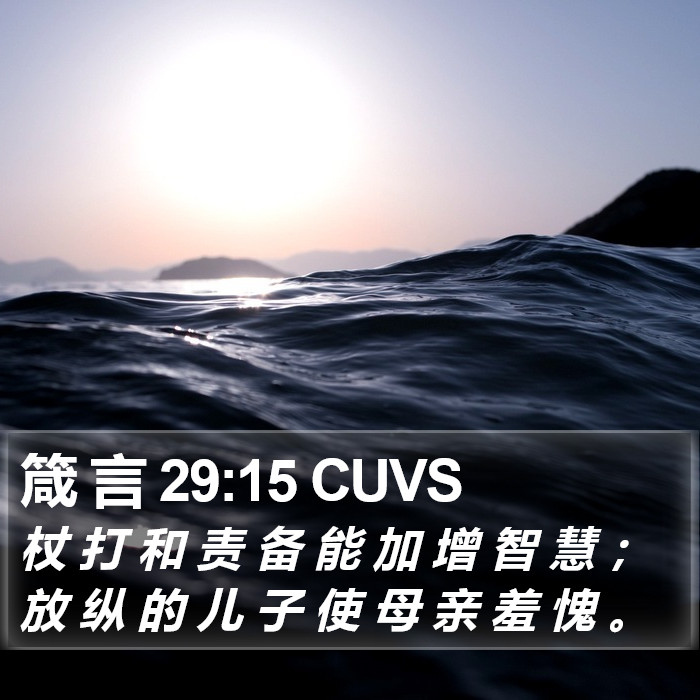 箴 言 29:15 CUVS Bible Study