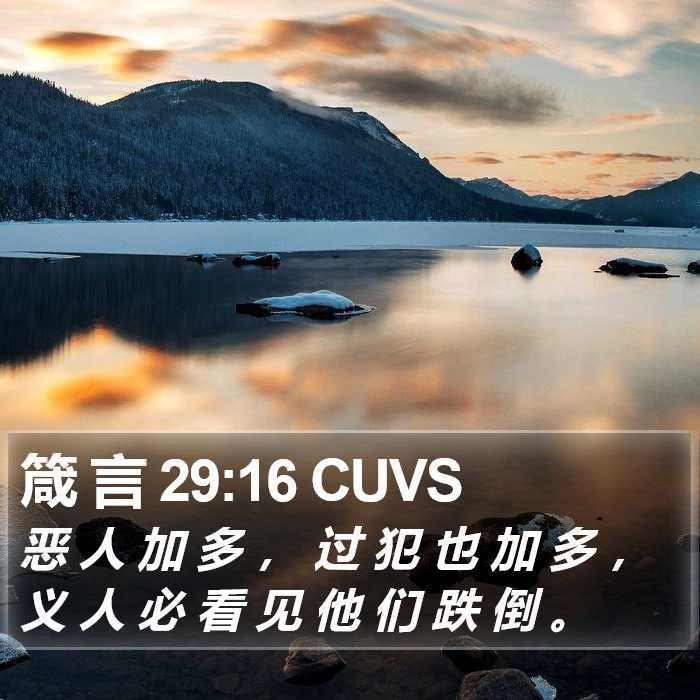 箴 言 29:16 CUVS Bible Study
