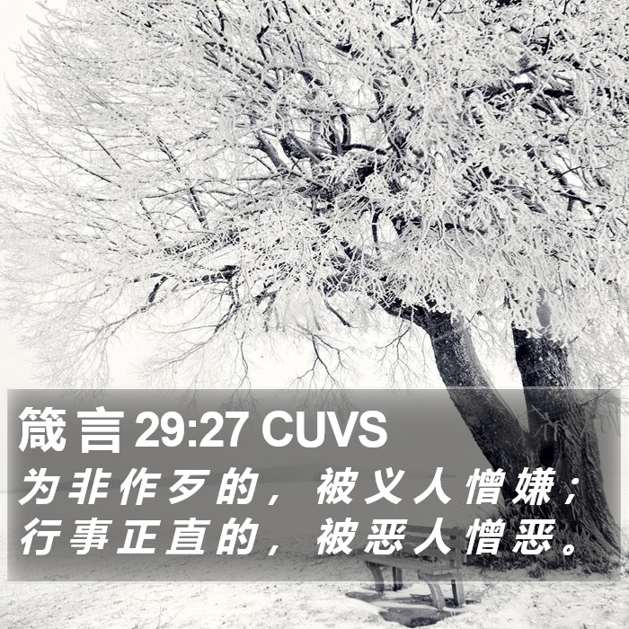箴 言 29:27 CUVS Bible Study