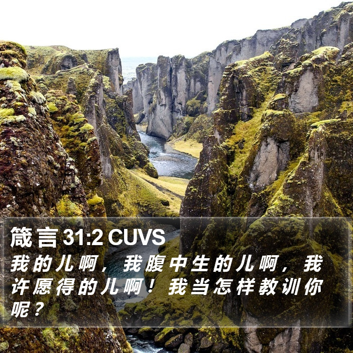 箴 言 31:2 CUVS Bible Study