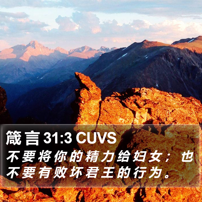 箴 言 31:3 CUVS Bible Study