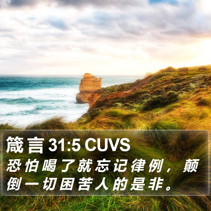 箴 言 31:5 CUVS Bible Study