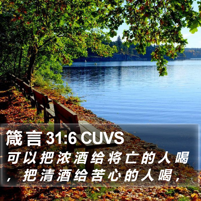 箴 言 31:6 CUVS Bible Study