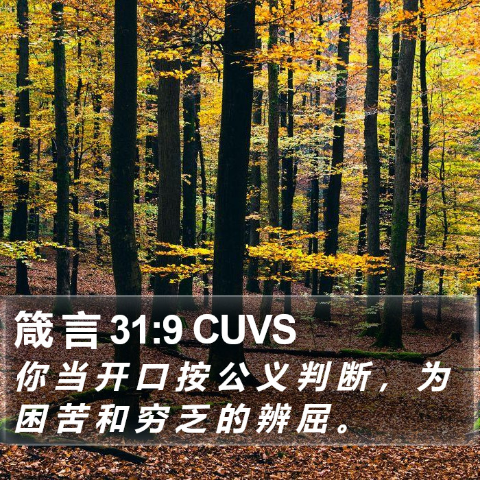 箴 言 31:9 CUVS Bible Study