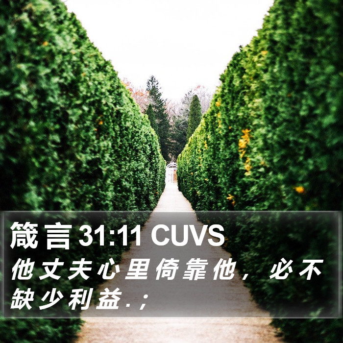 箴 言 31:11 CUVS Bible Study